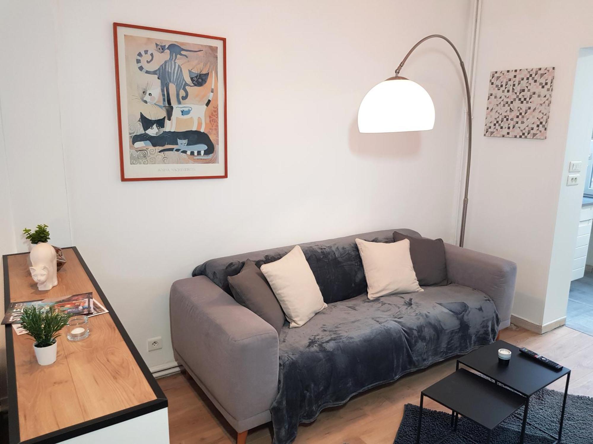 Le Chat D'Or - 35M2 - Terrasse - Bbq - Wifi Hd Amiens Extérieur photo
